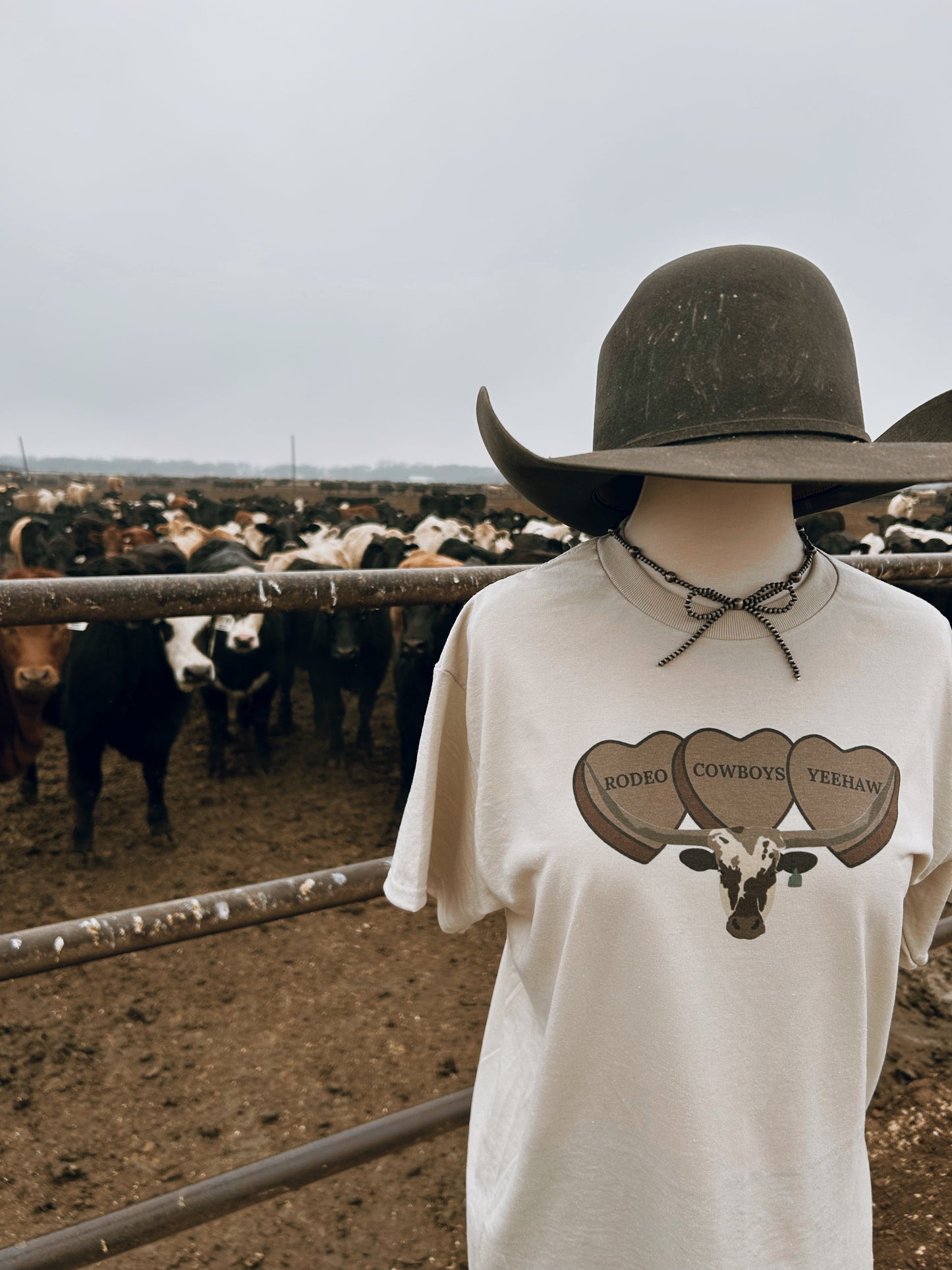3 Heart Longhorn
