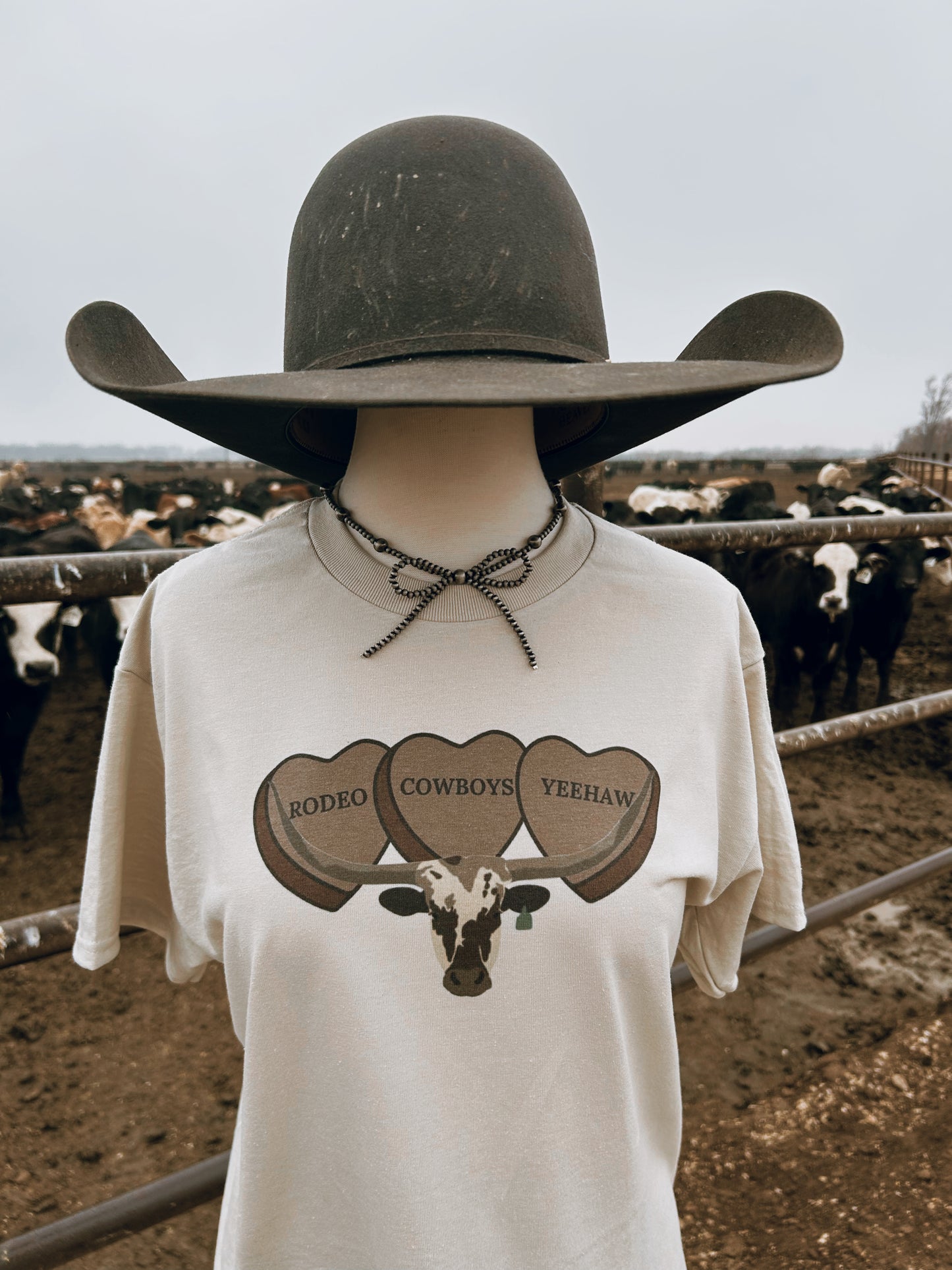 3 Heart Longhorn