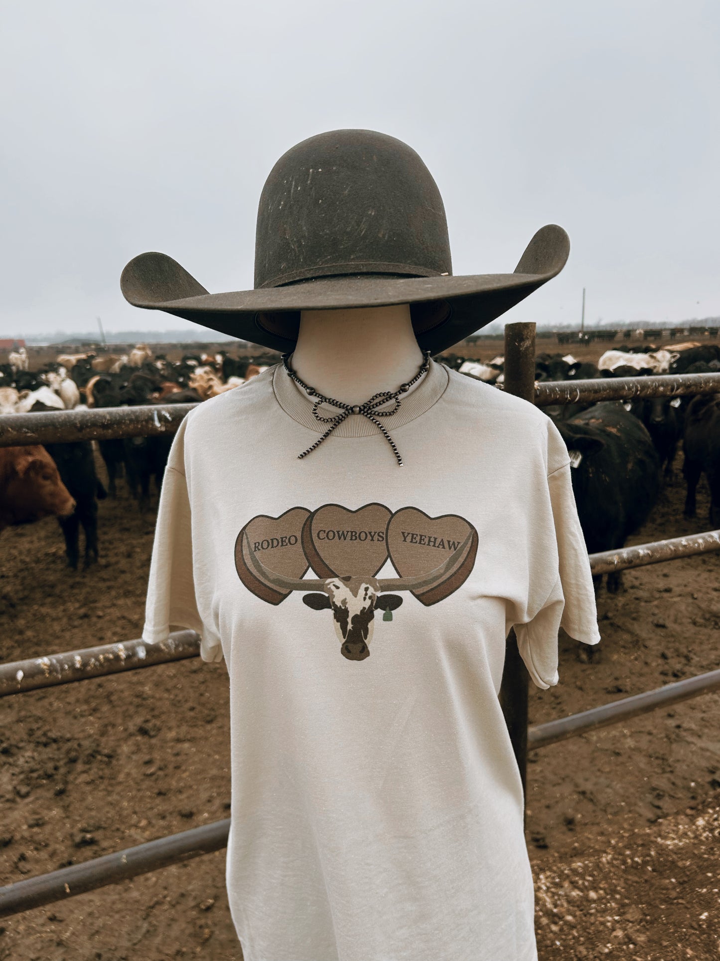 3 Heart Longhorn
