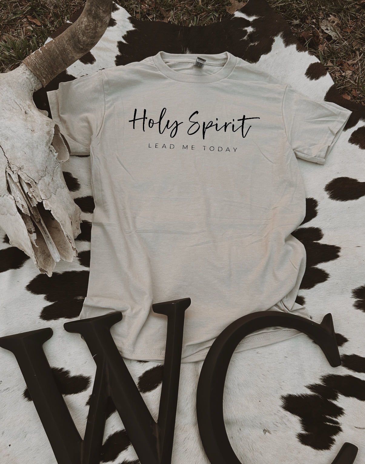 Holy Spirit Lead Me Today